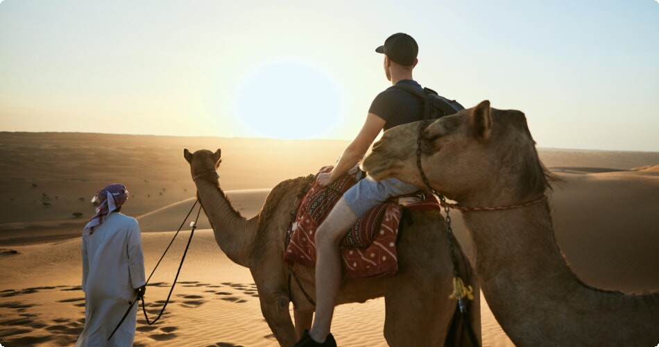 Camel Rides: