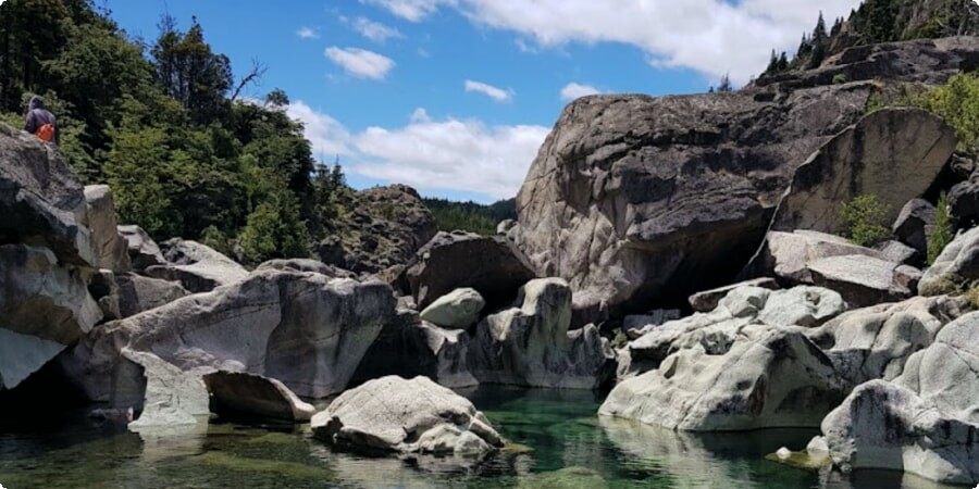 Natural Wonders of Los Alerces National Park