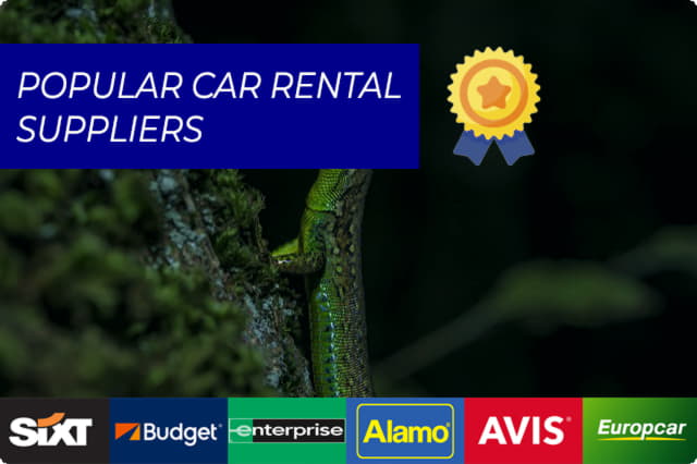 Explorați Azerbaidjanul cu cele mai bune companii locale de închiriere de mașini
