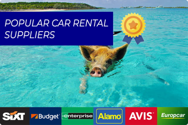 Discovering the Best Local Car Rental Companies in the Bahamas