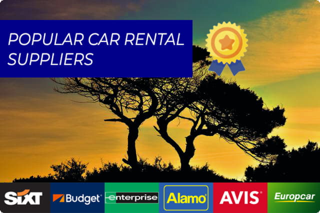 Atraskite Kiprą su geriausiomis vietinėmis automobilių nuomos įmonėmis