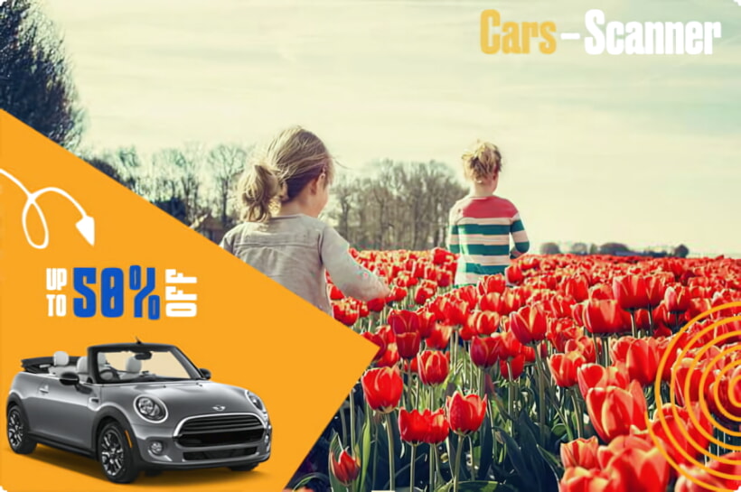 Experience the Netherlands in Style: Convertible Car Rentals