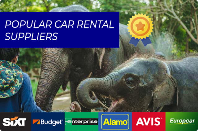 Exploring Panama with Top Local Car Rental Companies