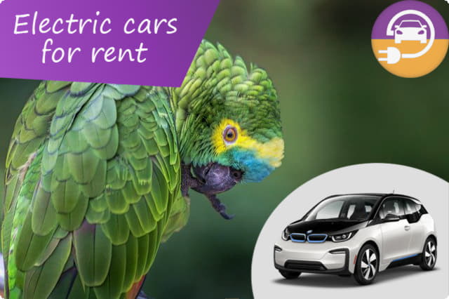 Explore Puerto Rico with the Latest Electric Cars for Rent