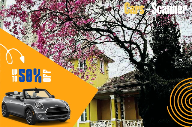 Renting a Convertible in Curitiba: What to Expect