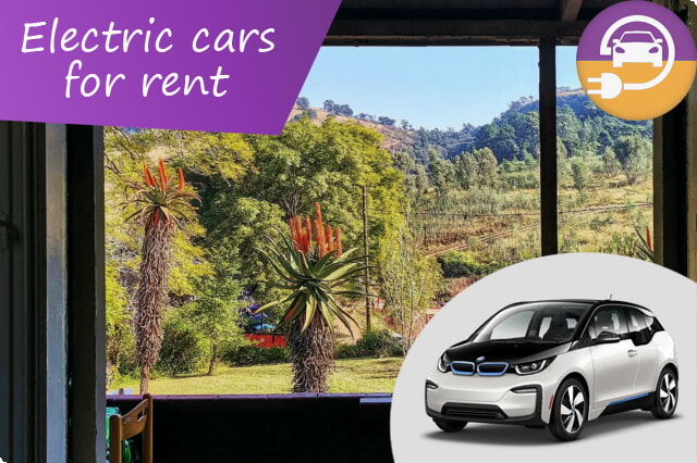 Eletrifique sua jornada: ótimas ofertas de aluguel de carros elétricos em Durban