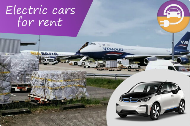 旅を楽しくする: フランクフルト・ハーン空港の限定電気自動車レンタル