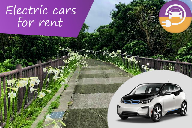 Elektrificirajte svojo pustolovščino na Okinawi z ugodnimi najemi električnih avtomobilov