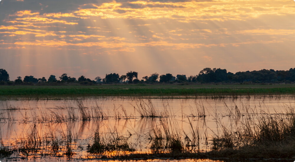 Thuê ô tô ở Botswana