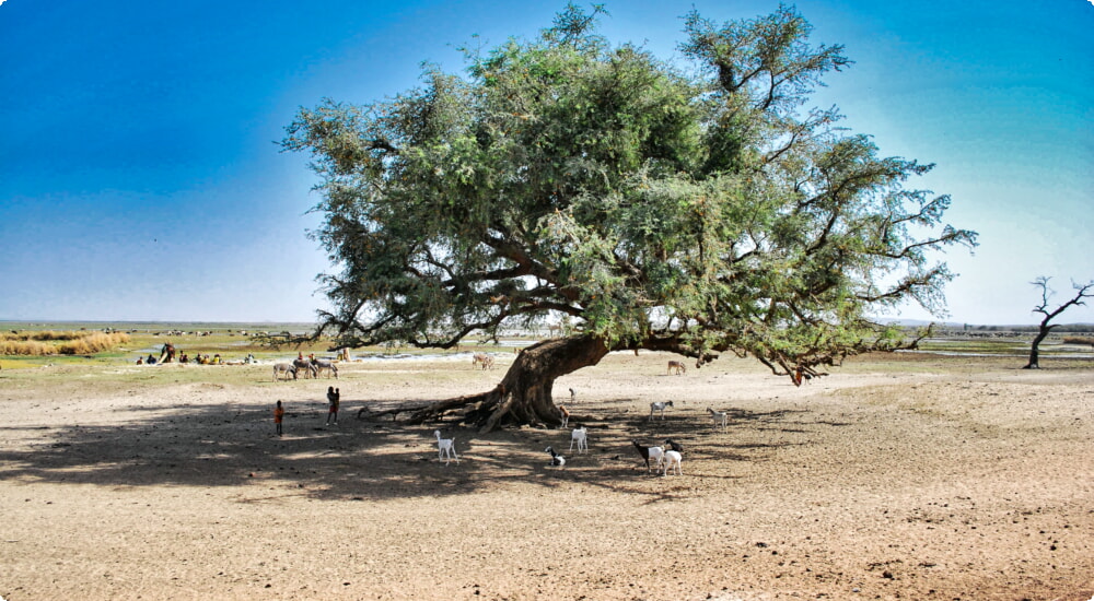 Thuê xe tại Burkina Faso