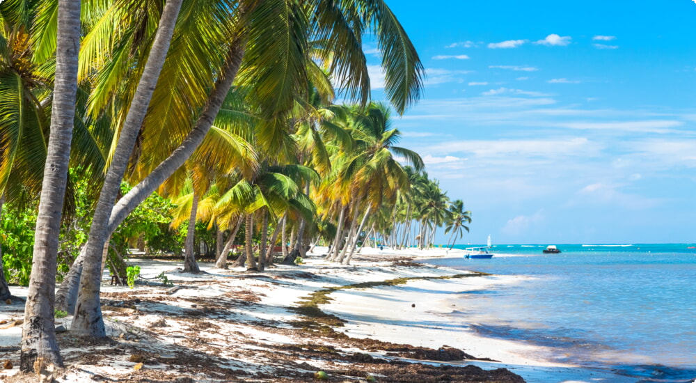 Alquiler de coches en República Dominicana