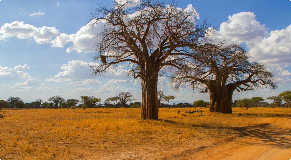 Noleggio auto in Kenia