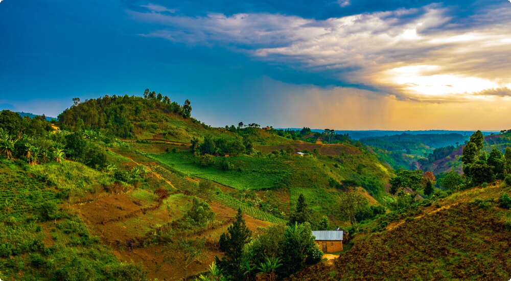 Alquiler de coches en Uganda