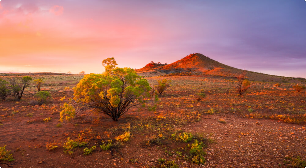 Požičovňa áut Alice Springs