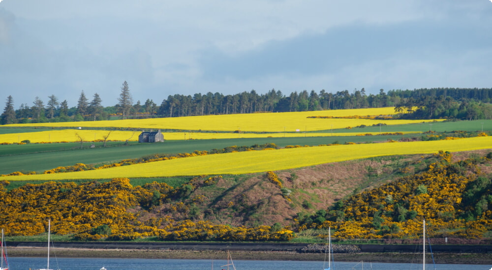 Închirieri auto Inverness