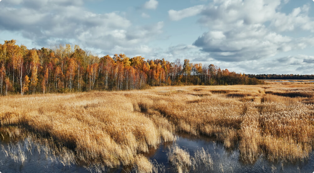 Jurmala Biludlejning