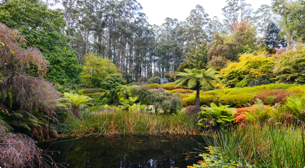 Melbourne - Dandenong-autoverhuur