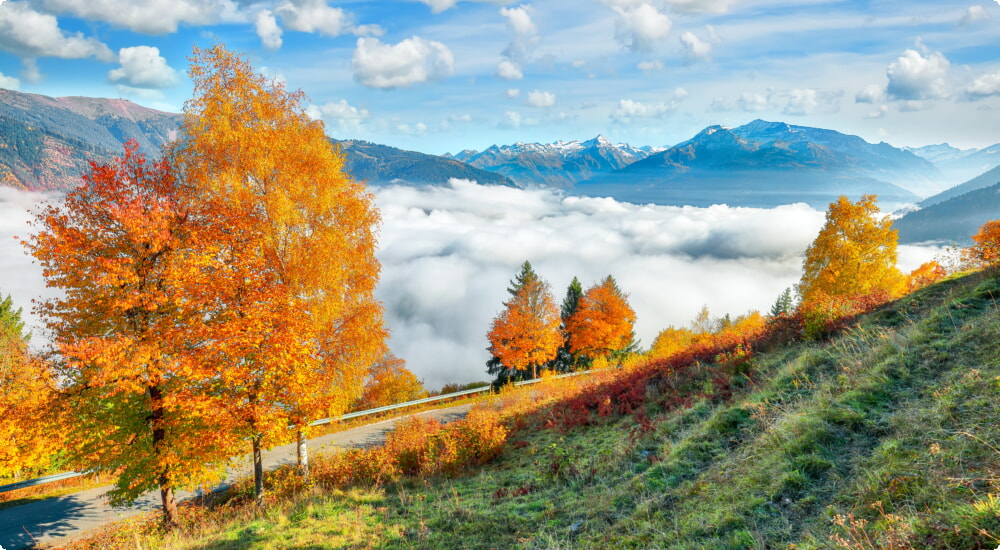 Aluguel de carro em Zell am See